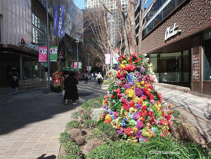 日比谷仲通り　Botanical Street